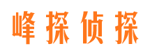 沙河侦探公司